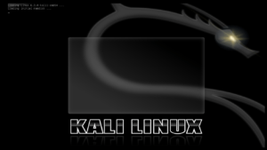 Kali Linux 是什麼 ? Kali Linux 超過 300 個檢測工具，用 Docker Desktop 安裝 5分鐘入門指南！
